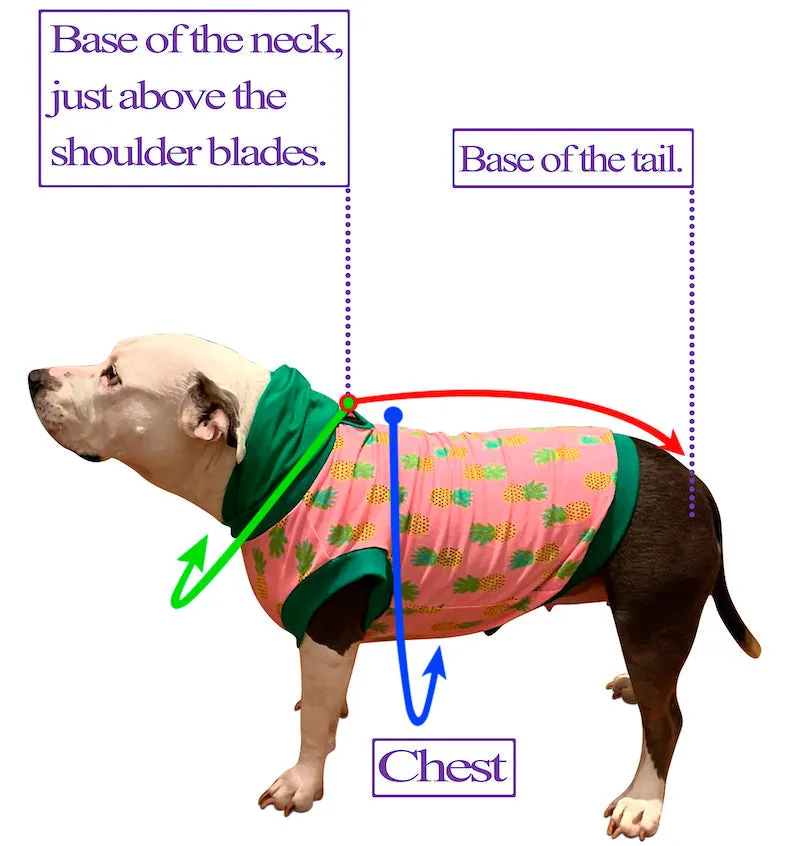 2025 Spring & Easter Dog Tutu Dress (AVAILABLE IN ANY PATTERN FROM THE PREORDER)