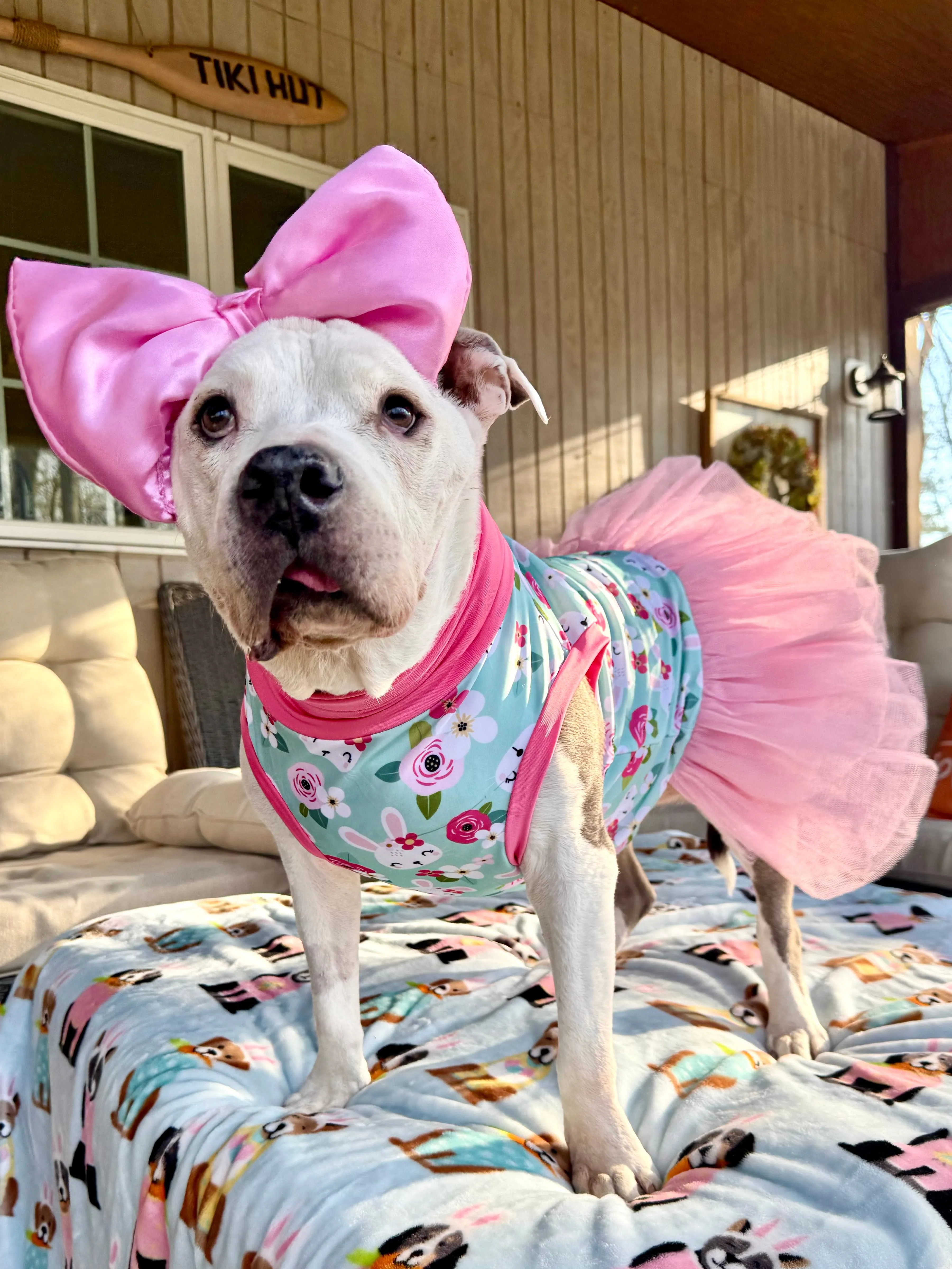 2025 Spring & Easter Dog Tutu Dress (AVAILABLE IN ANY PATTERN FROM THE PREORDER)