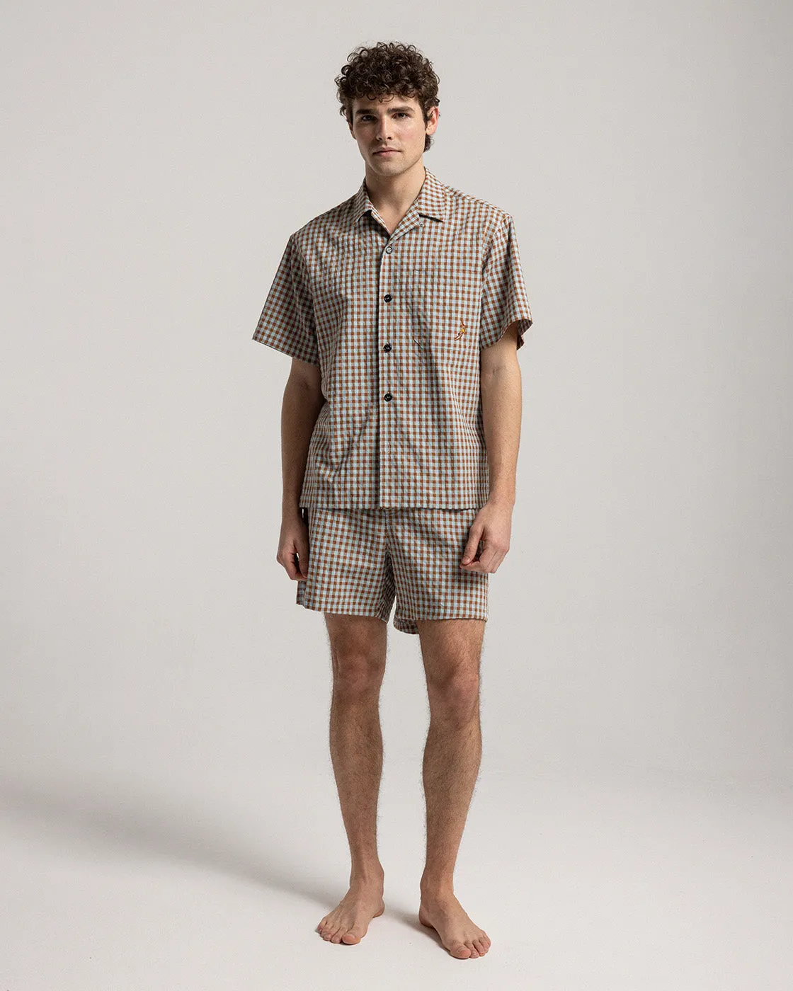 Brown Vicky Seersucker Shorts