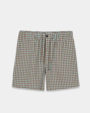 Brown Vicky Seersucker Shorts