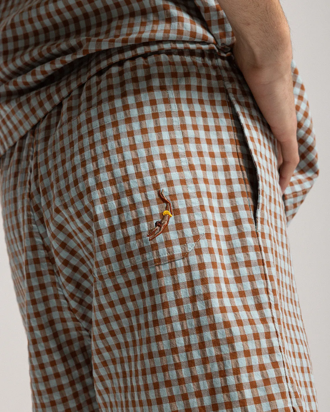 Brown Vicky Seersucker Shorts