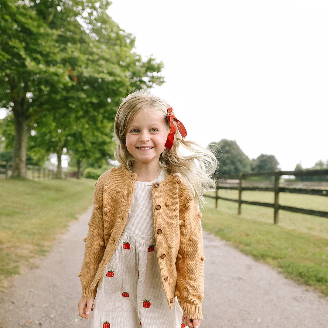 Pink Chicken Pumpkin Embroidery Girls Bea Dress