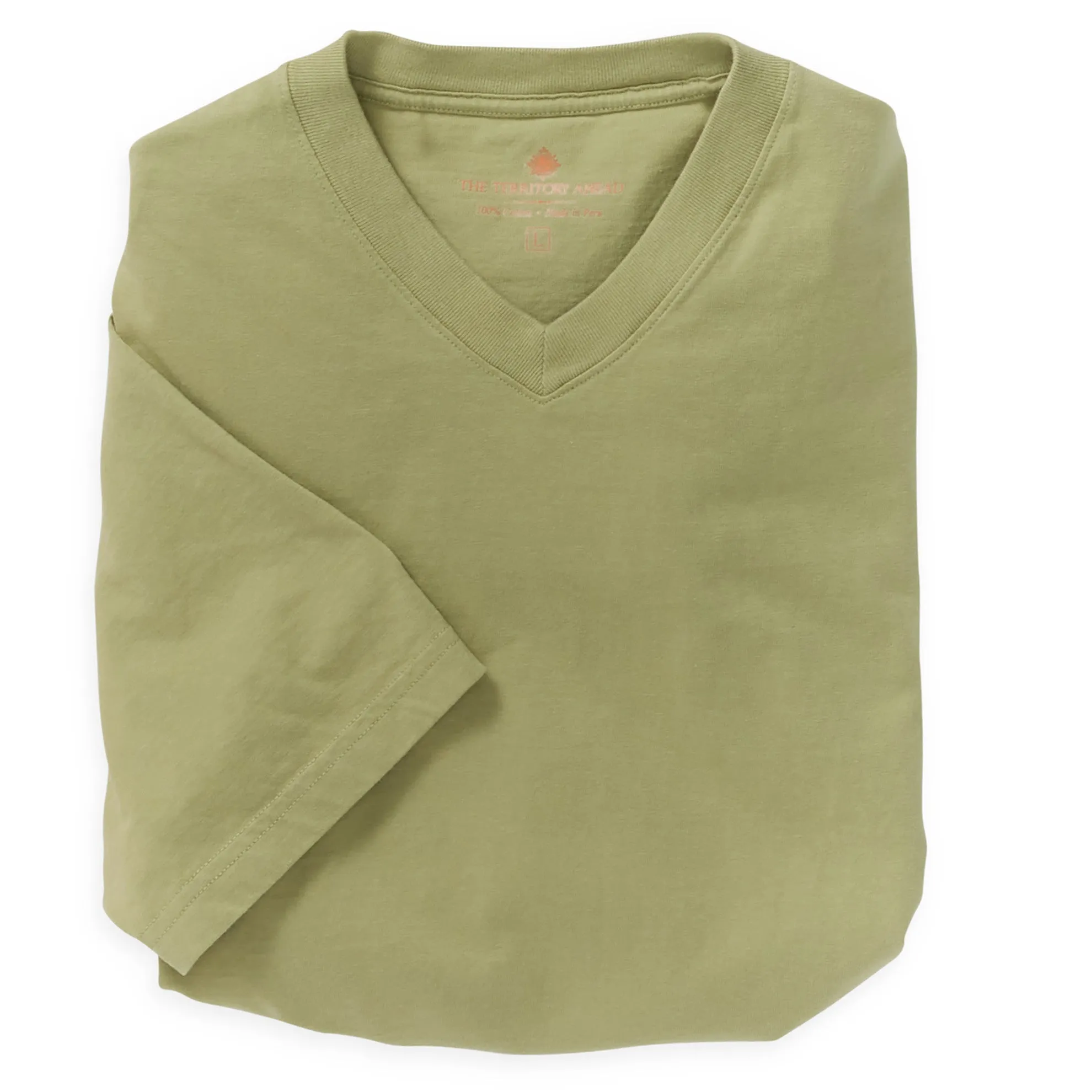 Short Sleeve A-List V-Neck