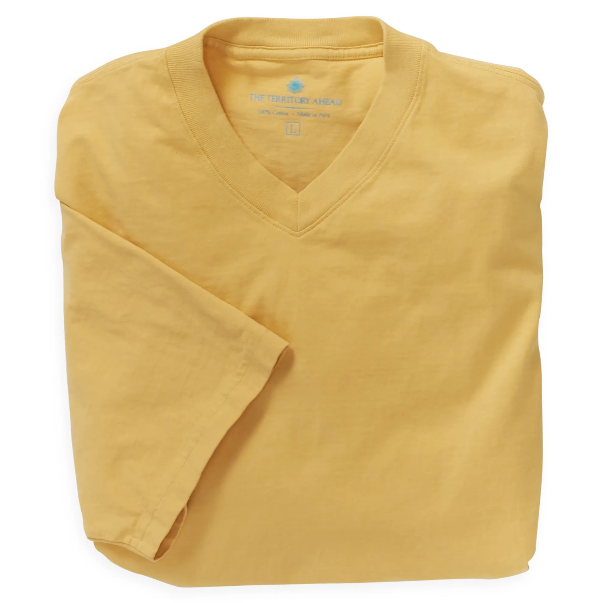 Short Sleeve A-List V-Neck