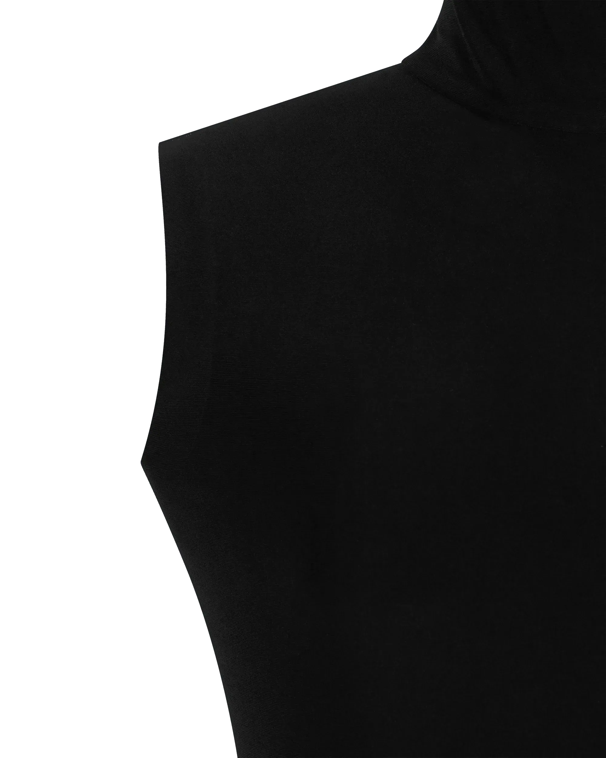 Slim Fit Sleeveless Turtle Top