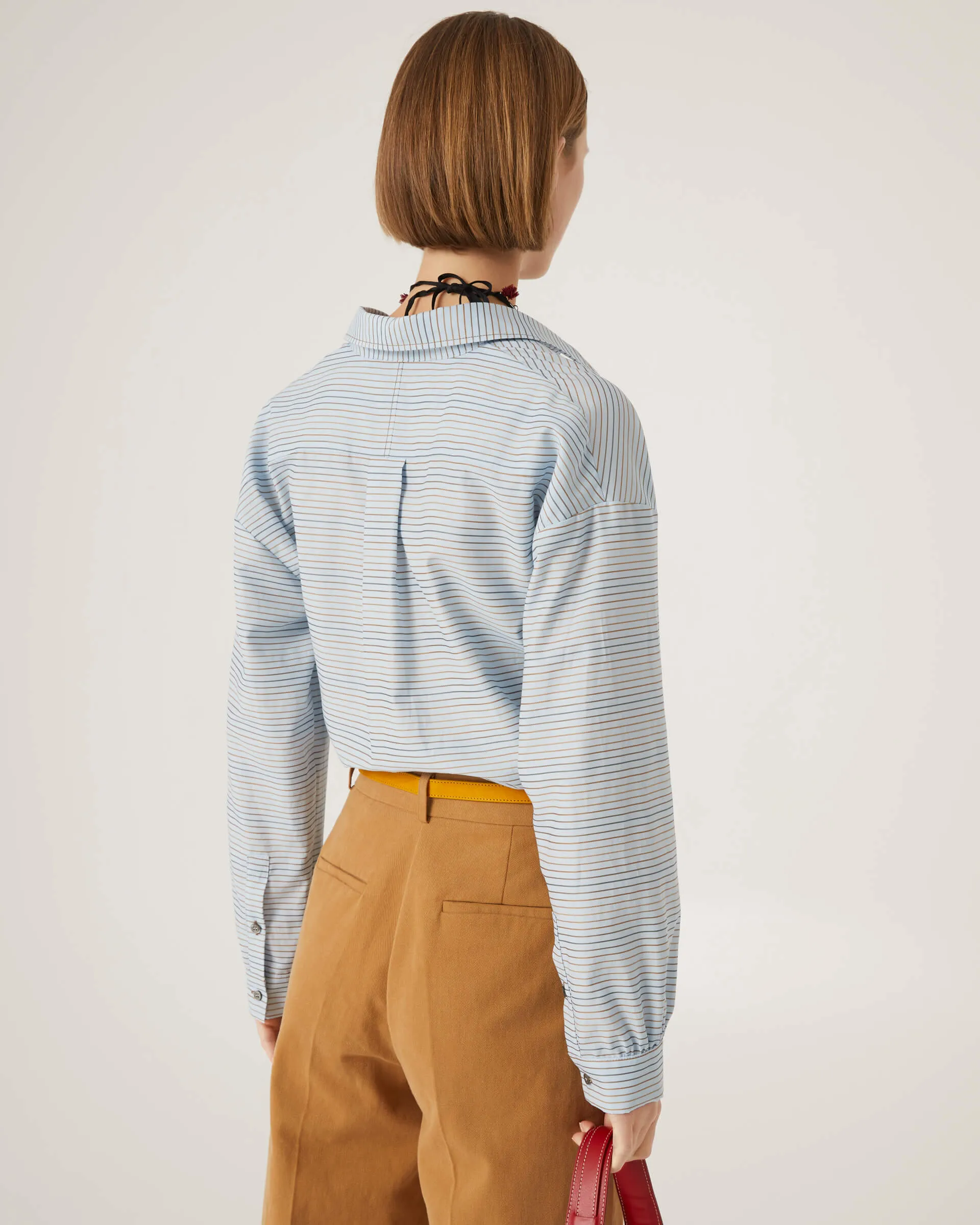 Striped Polo Shirt in Blue Stripe