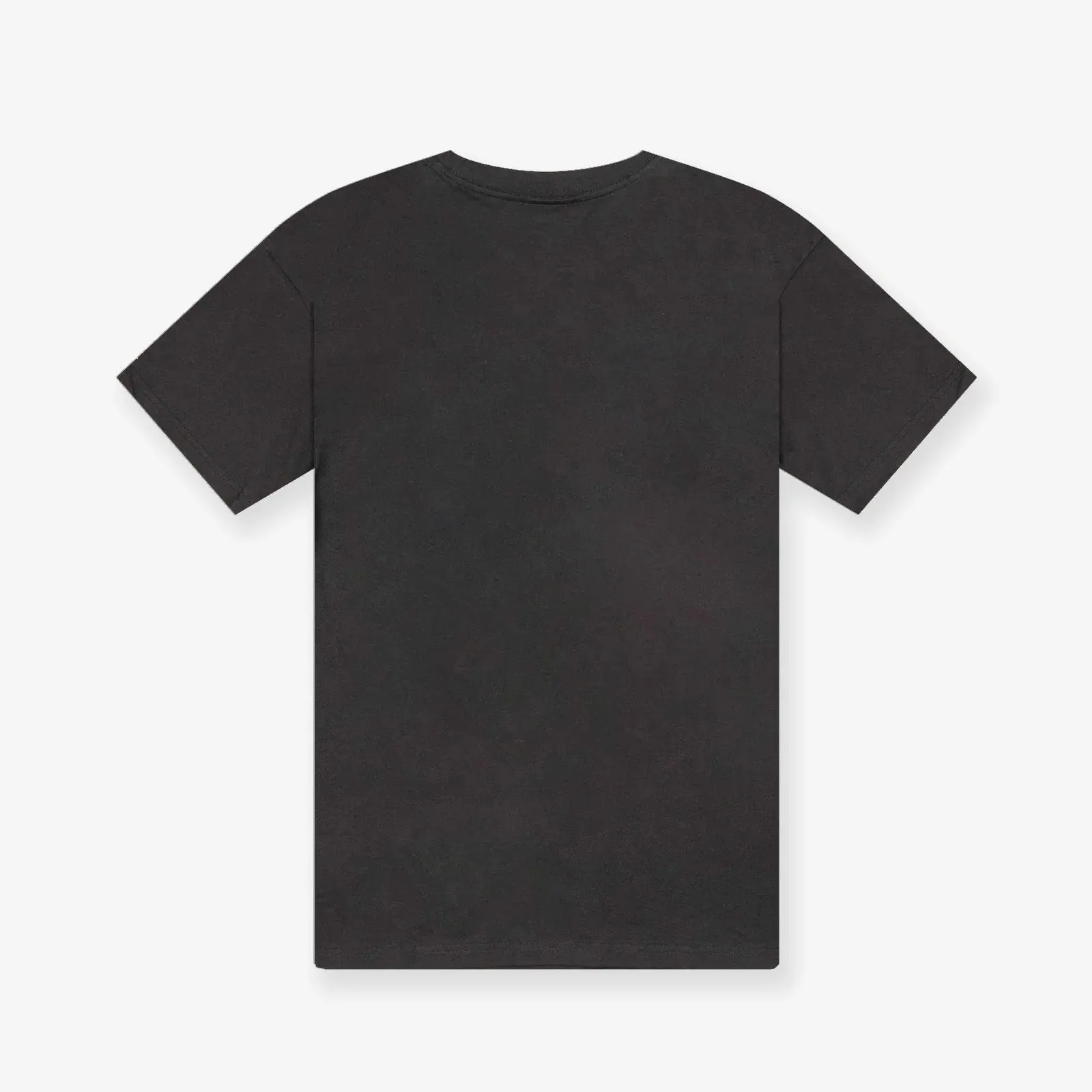 Vancouver Grizzlies Skyline Tee - Faded Black